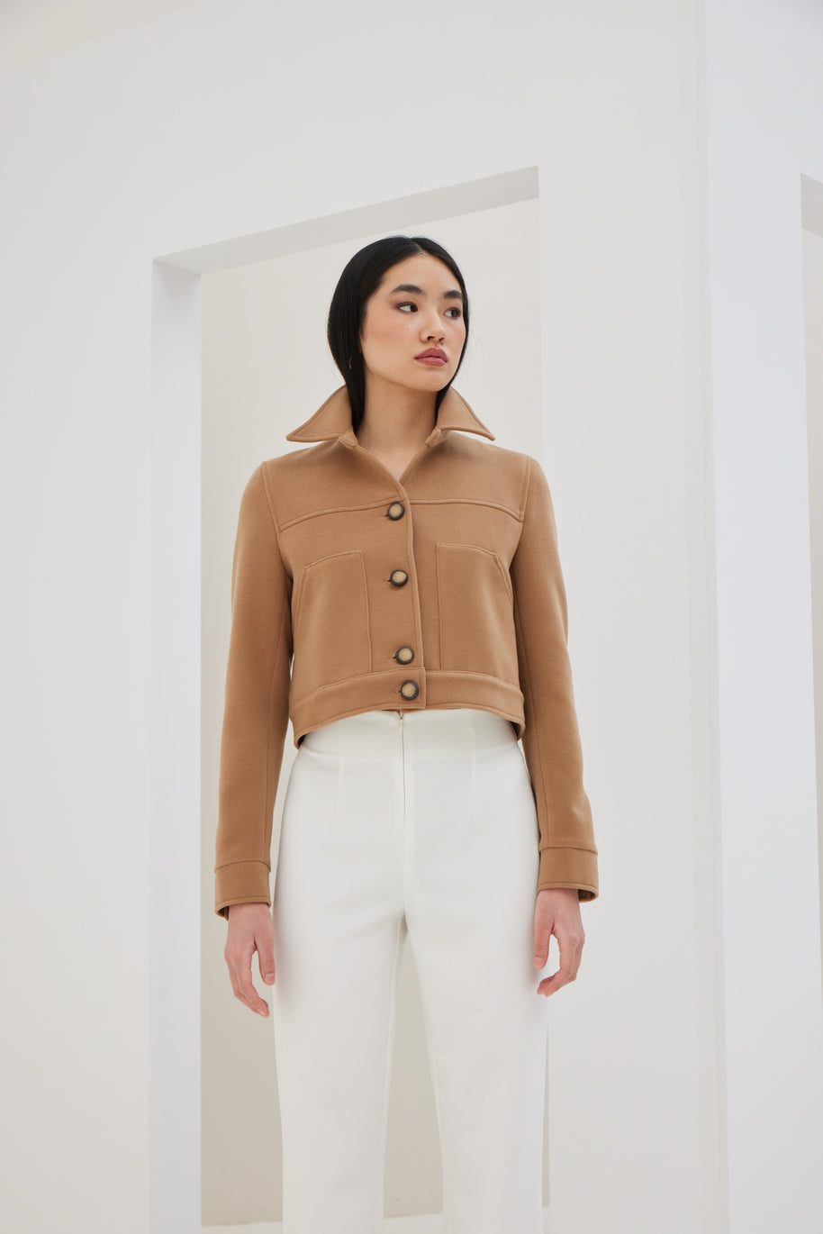 Crepe Pants